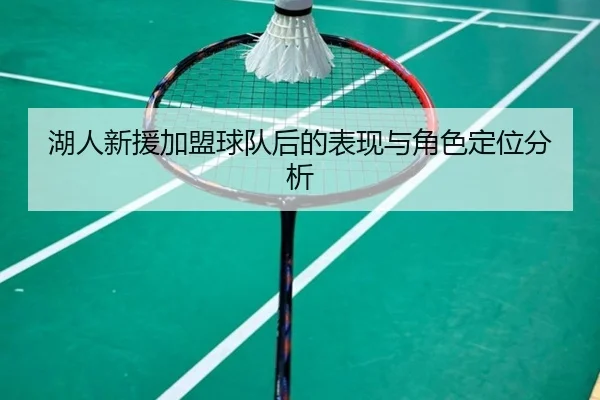 湖人新援加盟球队后的表现与角色定位分析